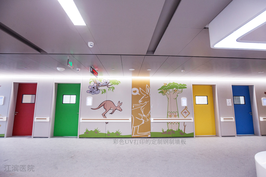 醫(yī)用鋼質門|醫(yī)院專用門